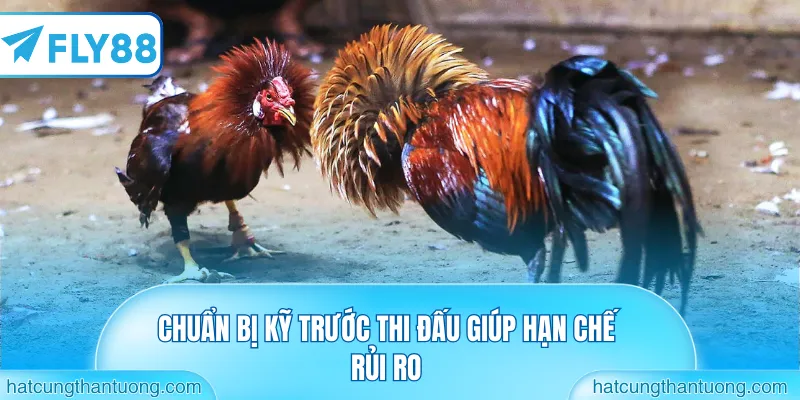 Chuẩn bị kỹ trước thi đấu giúp hạn chế rủi ro