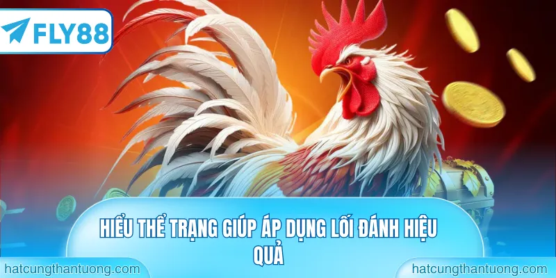 Hiểu thể trạng giúp áp dụng lối đánh hiệu quả